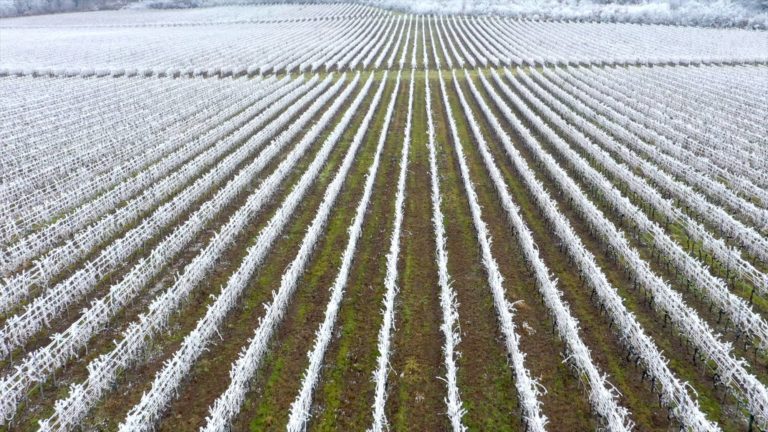 FrostStrat gegen Spätfrost