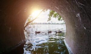 Kanal-Entlastung in den Fluss mit drei Enten